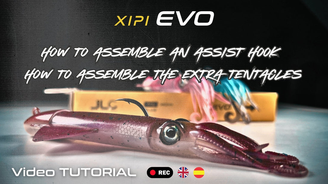 XIPI EVO  מדריך להרכבת קרסי אסיסט