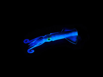 XIPI EVO 140 mm